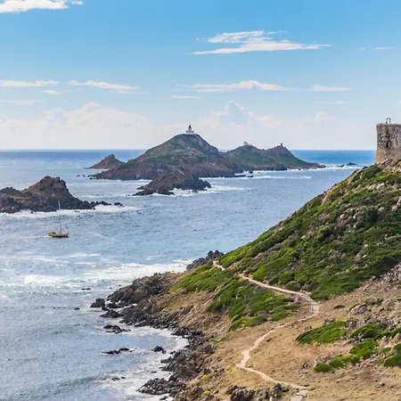 Apartment Amalia - Sea View Terrace Wifi Parking - By Tgb Porticcio (Corsica)