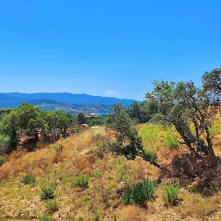 Apartment Amalia - Sea View Terrace Wifi Parking - By Tgb Porticcio (Corsica)