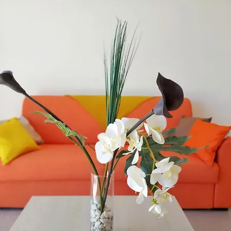 Amalia - Sea View Terrace, Wifi, Parking - By Tgb * Porticcio (Corsica)
